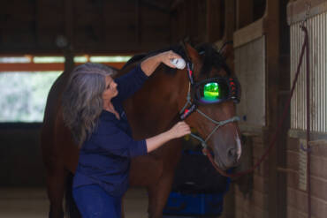 The Benefits of Cold Laser Therapy