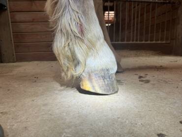 The Benefits of Rehabilitation