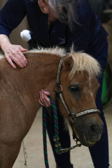 The Benefits of Reiki